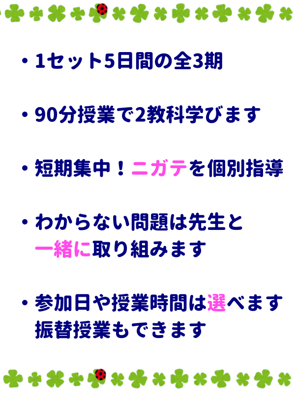・1セット5日間の全3期
・90分授業で2教科学びます
・短期集中！ニガテを個別指導
・わからない問題は先生と一緒に取り組みます
・参加日や授業時間は選べます、振替授業もできます